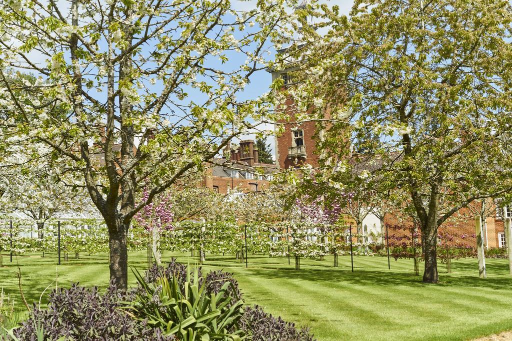 Tylney Hall Hotel Hook  Exteriör bild